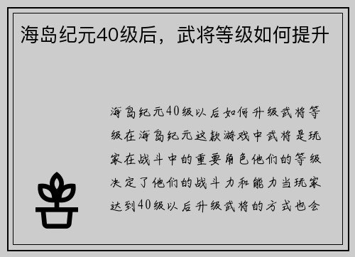 海岛纪元40级后,武将等级如何提升